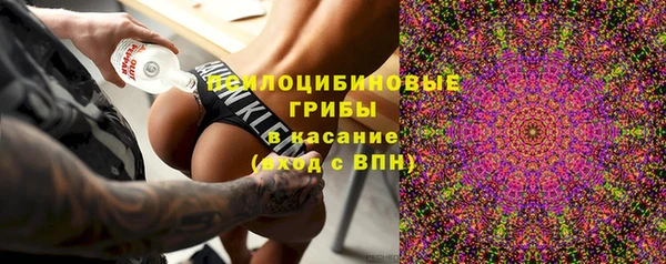 прущая мука Алзамай
